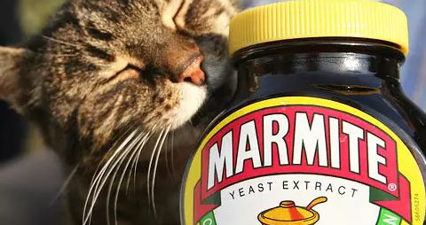 餐飲業(yè)戰(zhàn)“疫”新動(dòng)向 海底撈精釀線下擴(kuò)張，BrewDog跨界酵母醬，行業(yè)自救各顯神通